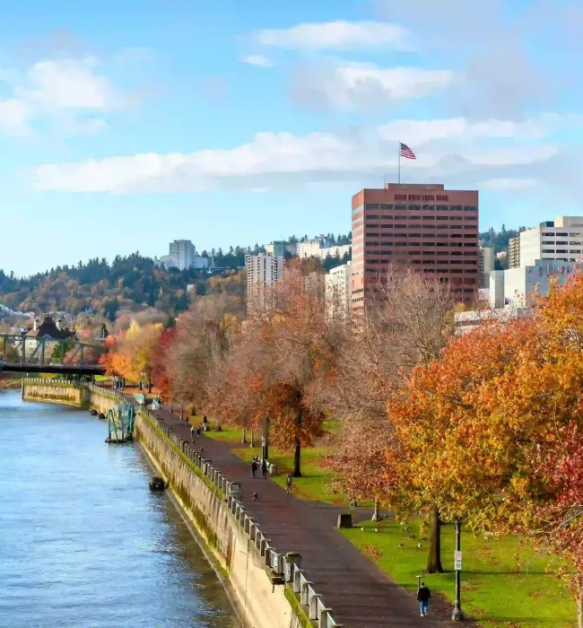 shutterstock_713473927_1 (1)